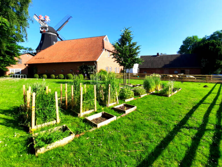 museum-muehle-gelaende-2